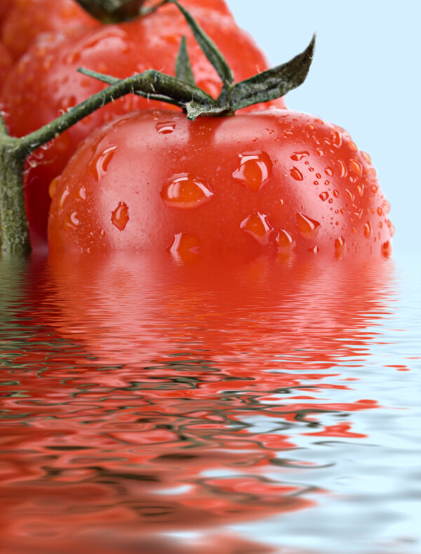 倒映水中的西红柿图片