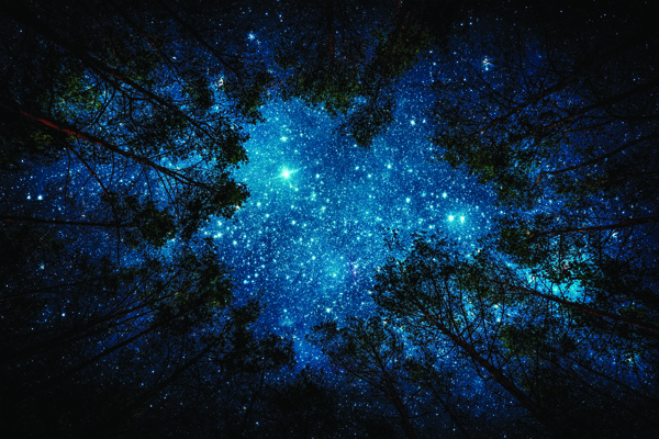 树林上面的星空繁星点点背景画图片