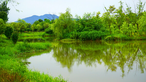 龙虎山水韵图片