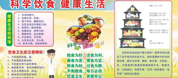 学校食堂饮食文化图片