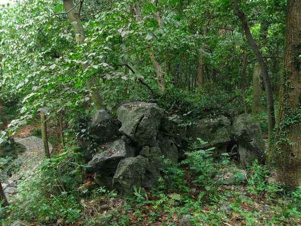 石头绿树
