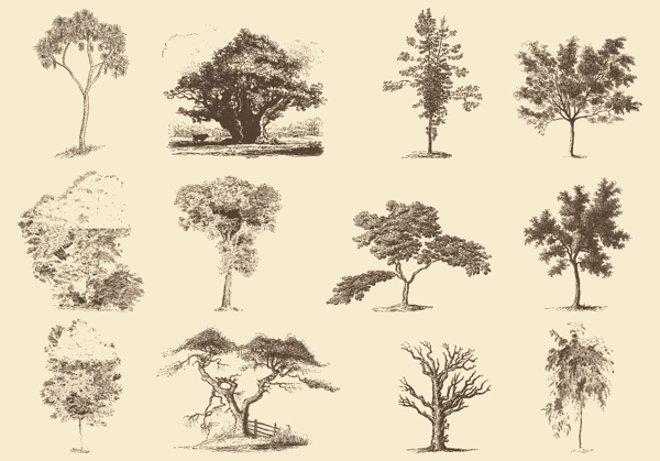 褐色的树的插图