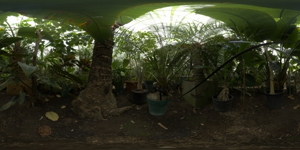 HDR植物环境贴图