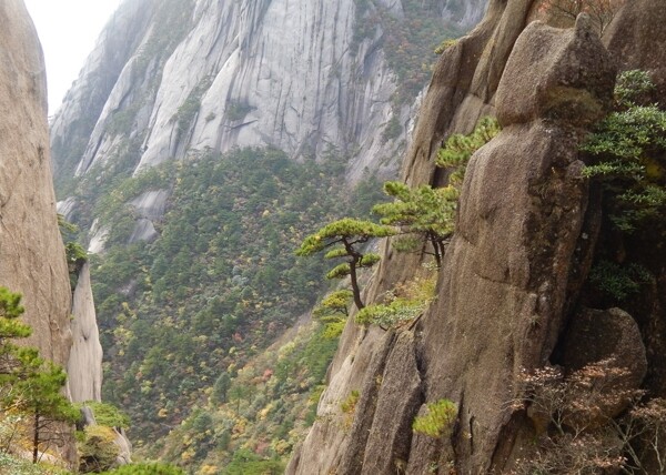 黄山风光图片