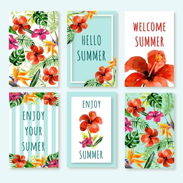 六款夏季热带花卉卡片