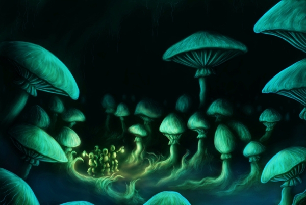 蘑菇的世界图片