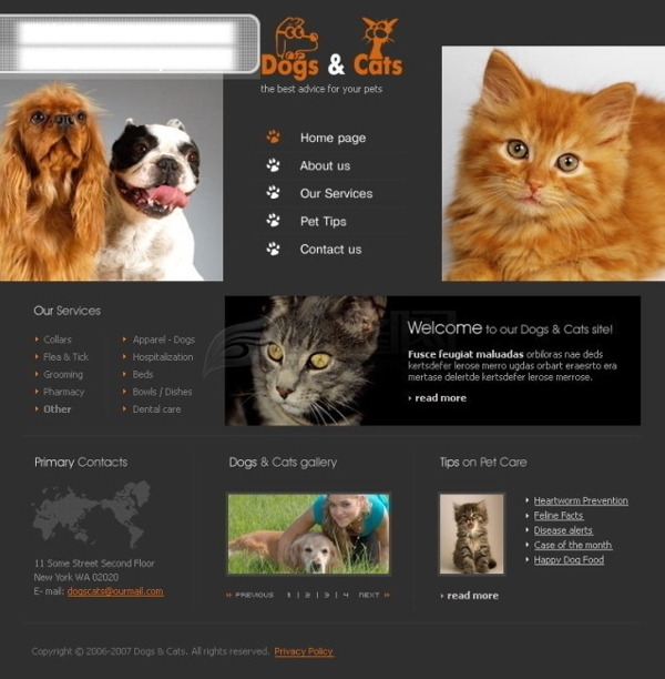 宠物.动物类韩国网站模板flash网站模板个人网站模板企业网站模板下载psd网页模板韩国欧美网站及Flash源代码精选