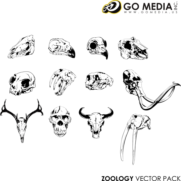媒体去生产的各种动物的头骨矢量素材