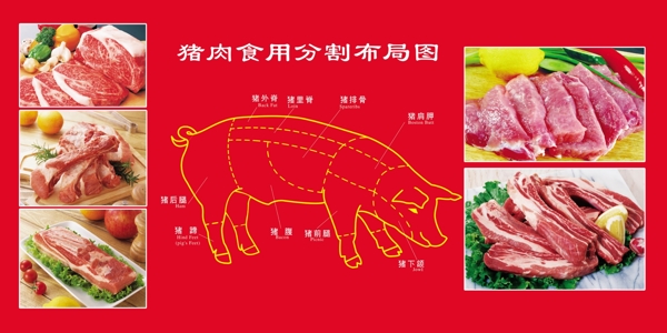 猪肉分割图图片