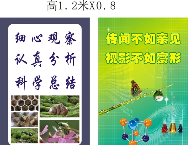 生物标语图片