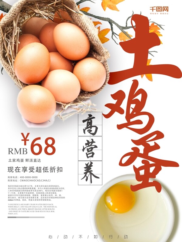 新鲜土鸡蛋特价美食促销海报