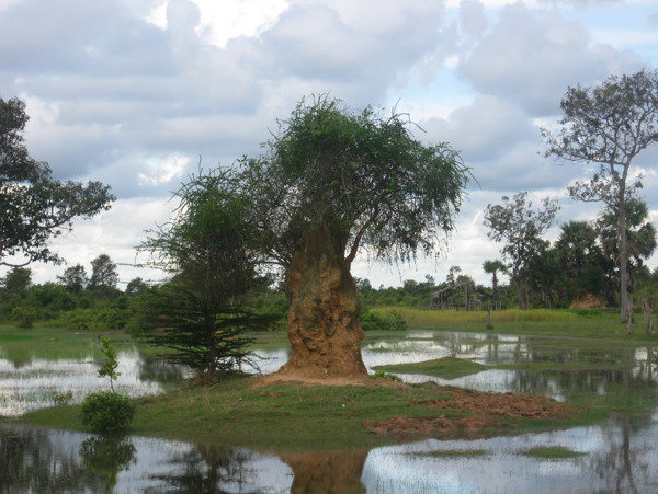 柬埔寨的自然观
