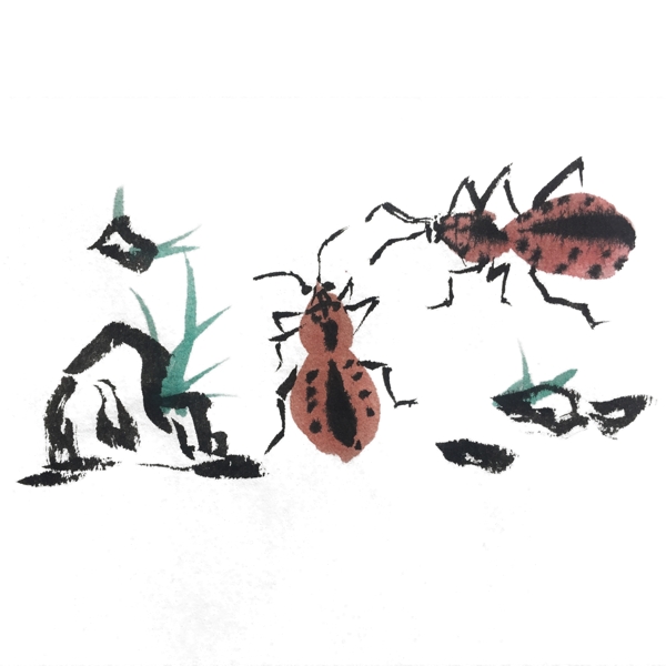 中国风水墨昆虫手绘插画