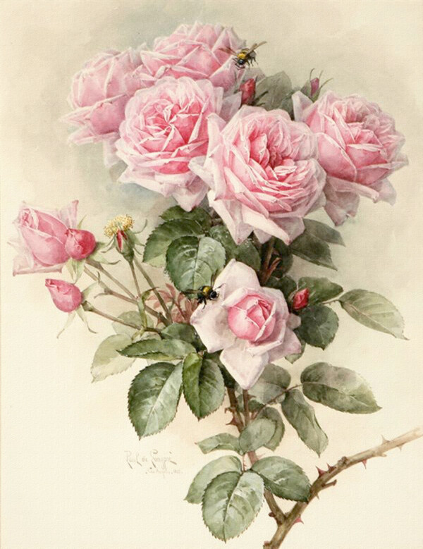 玫瑰花朵花卉装饰画