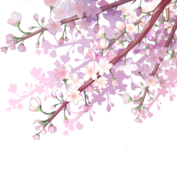 樱花花朵枝头夏季海报紫色素材