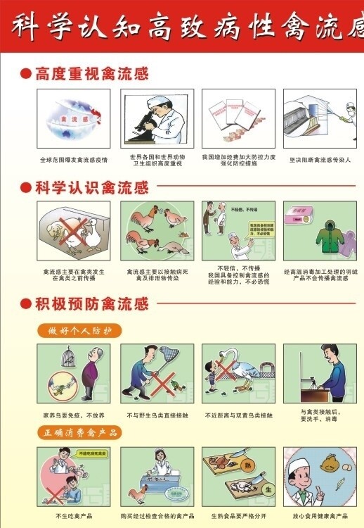 H7N9禽流感预防宣图片