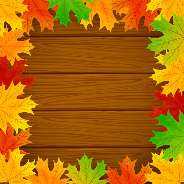 秋天枫叶木板背景图片