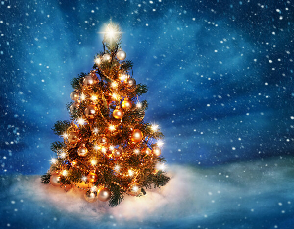 梦幻圣诞树背景图片