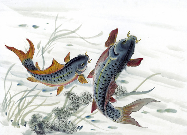 鱼写意水族国画0229