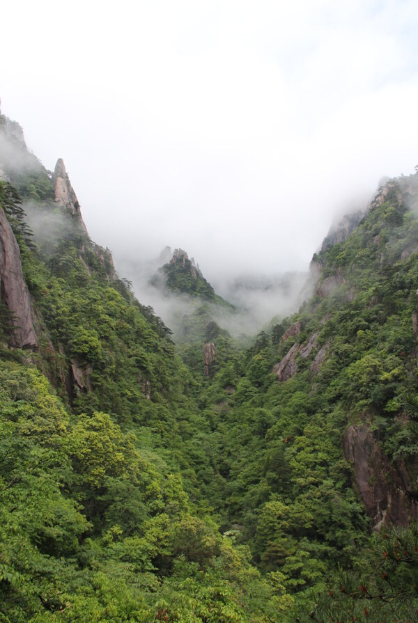 黄山图片