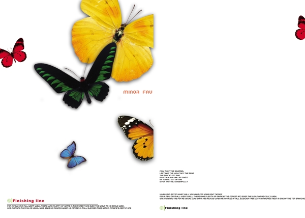 蝴蝶画册板式设计图片
