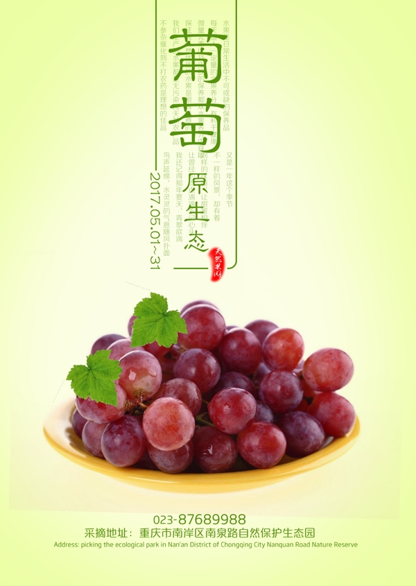 水果红葡萄