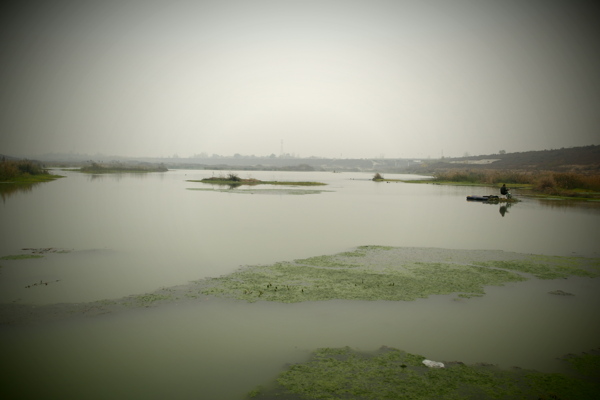 河道风景