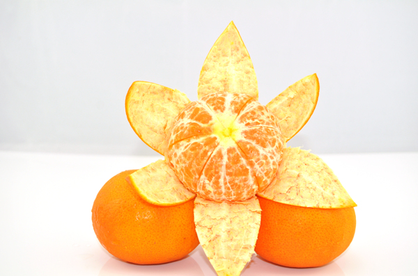 柑橘拍摄
