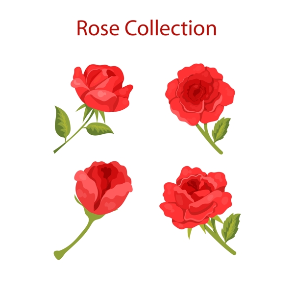 4款美丽红色玫瑰花矢量素材
