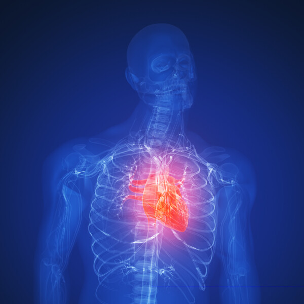 人体肺部X光透视图图片