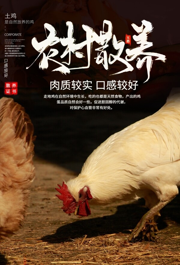 散养鸡活动宣传海报素材
