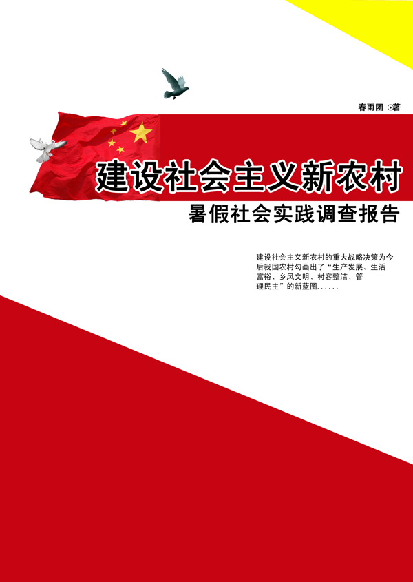 建设社会主义新农村实践报告封面