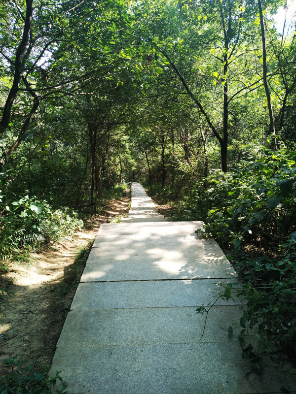 山路风景