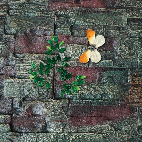 石头墙壁树叶蝴蝶psd素材