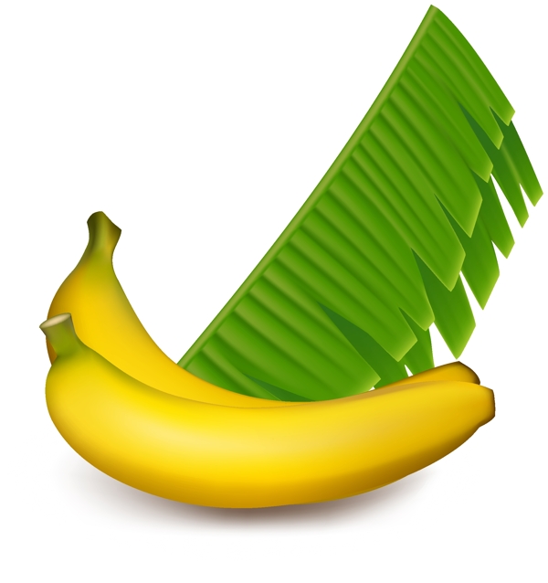香蕉与叶子设计