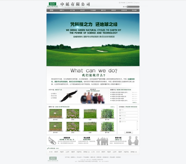 草皮网站中文模板图片