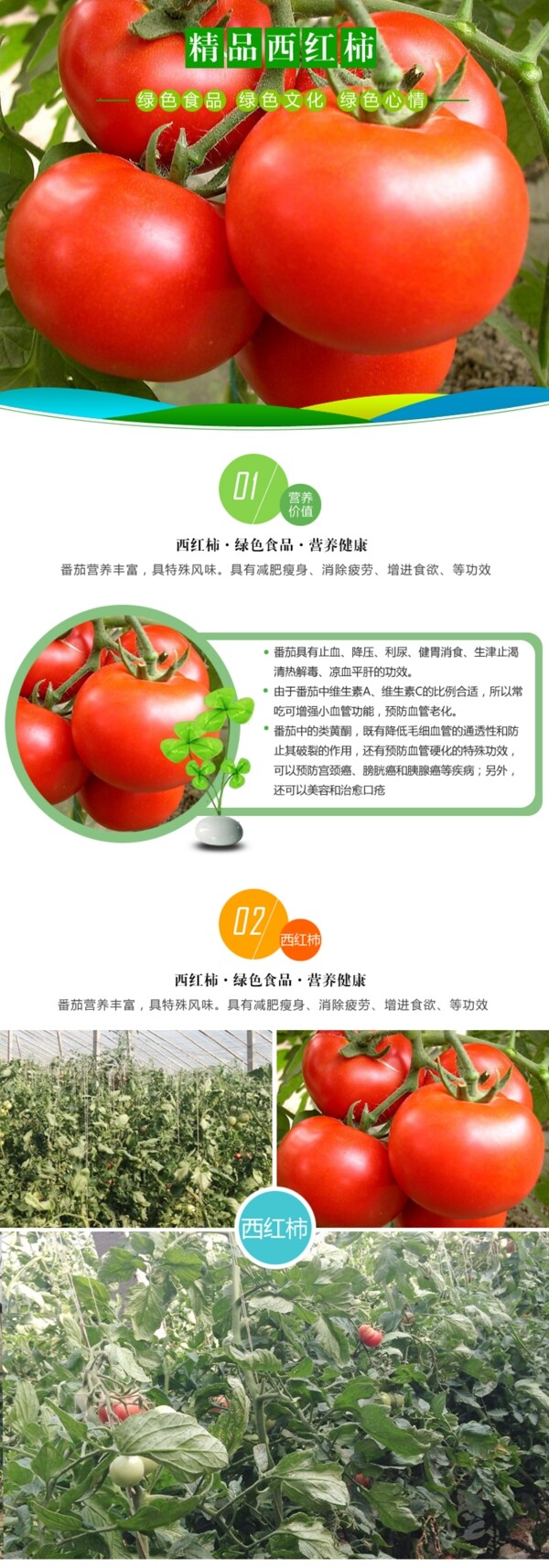 淘宝水果西红柿详情设计图片