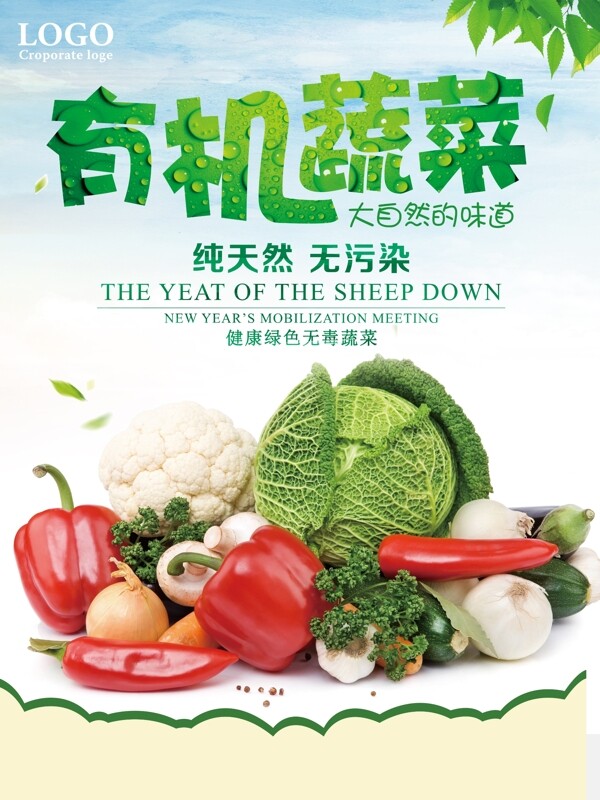 蔬菜水果水果蔬菜蔬菜海报