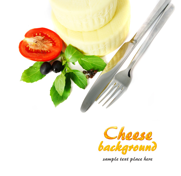 奶酪15图片
