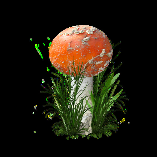 蘑菇png透明元素