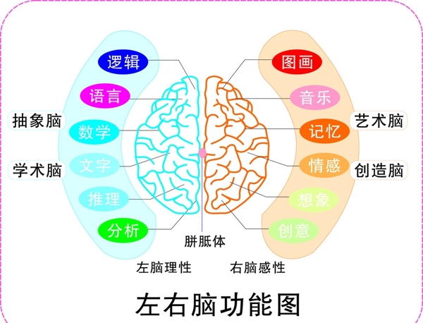 大脑图