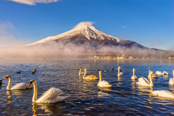 日本富士山