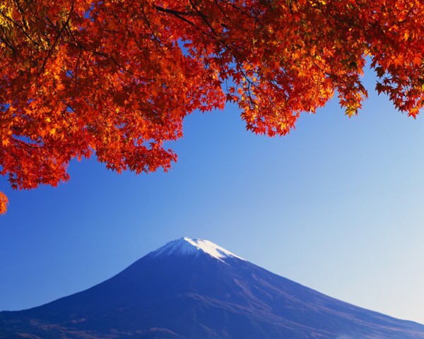 日本富士山