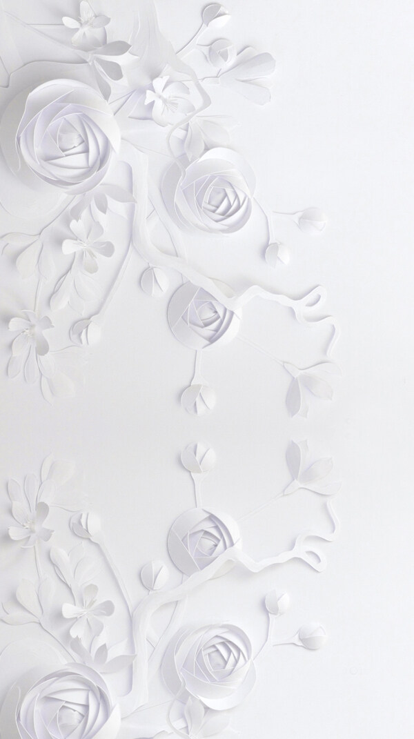 白色花朵浮雕H5背景素材