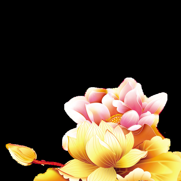 中秋节花朵元素设计