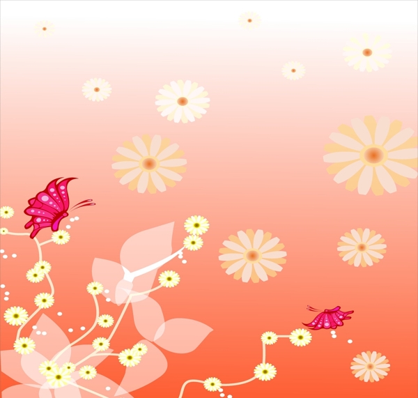 蝴蝶菊花图片