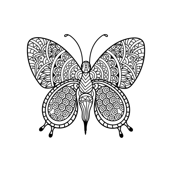 民族的蝴蝶设计