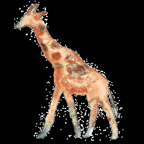 质感砂砾纹路长颈鹿透明装饰图案