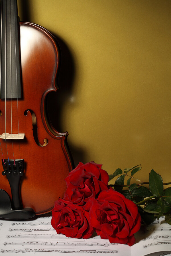 乐谱玫瑰花与小提琴图片