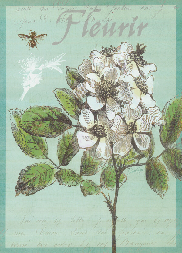 蜜蜂鲜花油画写生